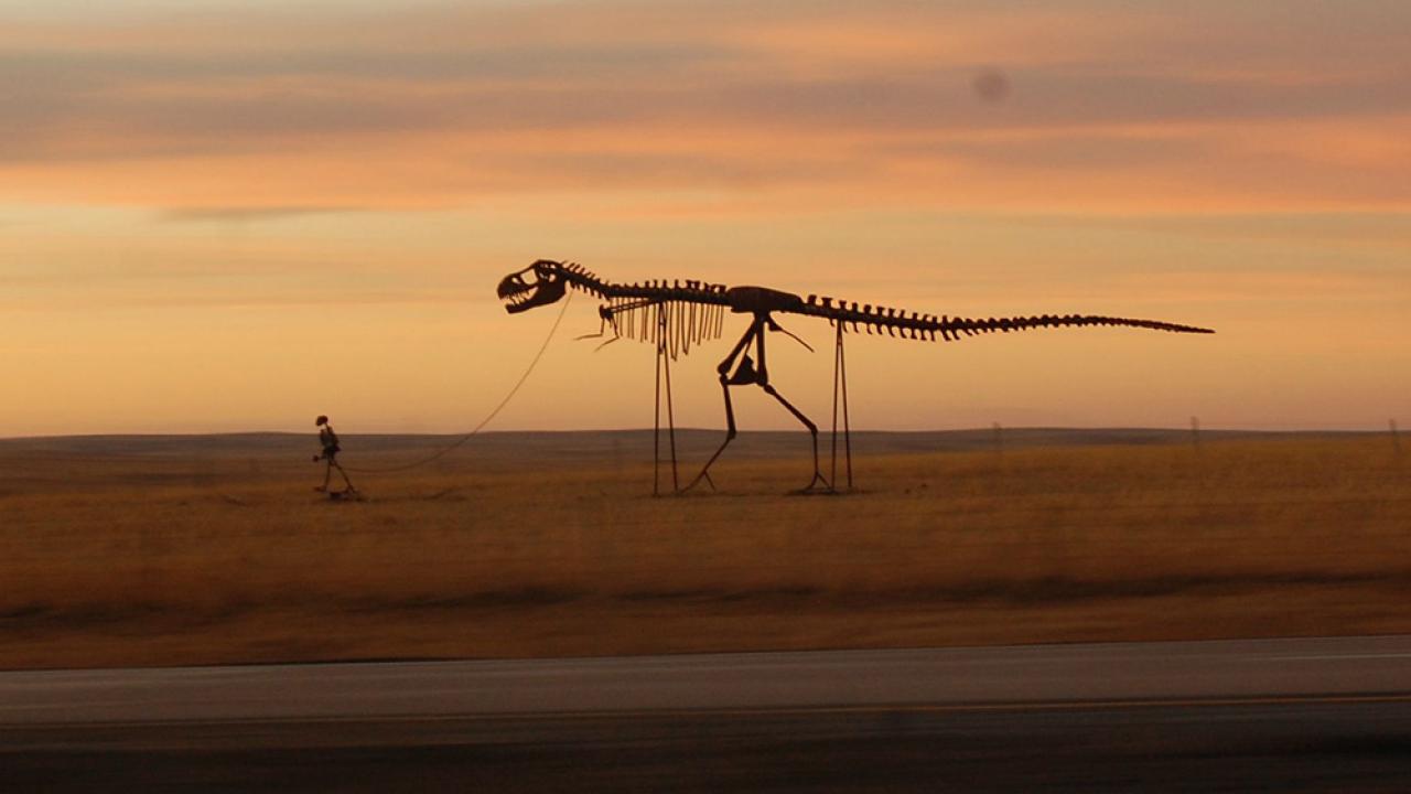 Web Destek, Domain ve Hosting