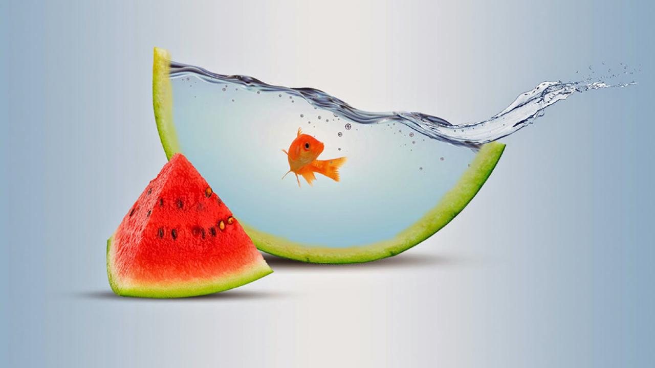 Kurumsal Kimlik Tasarımı